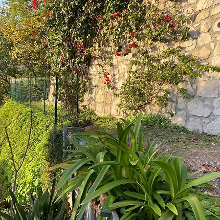 A Avec Vue Βίλα